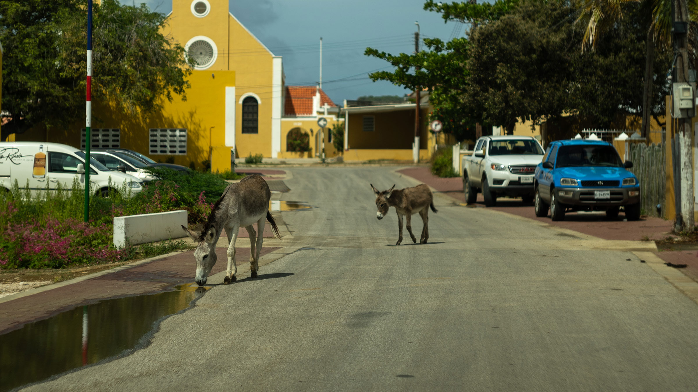 Eishockey Live-Produktion – TV-Crew Badges